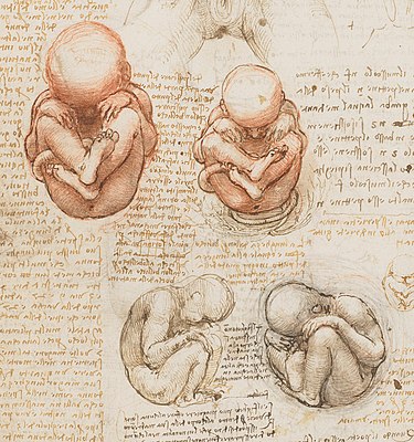 Foster. Da Vinci
