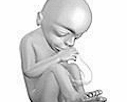 Pro-Life satser friskt